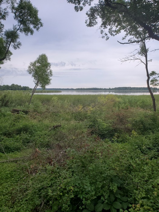 Hickory Hills Campground