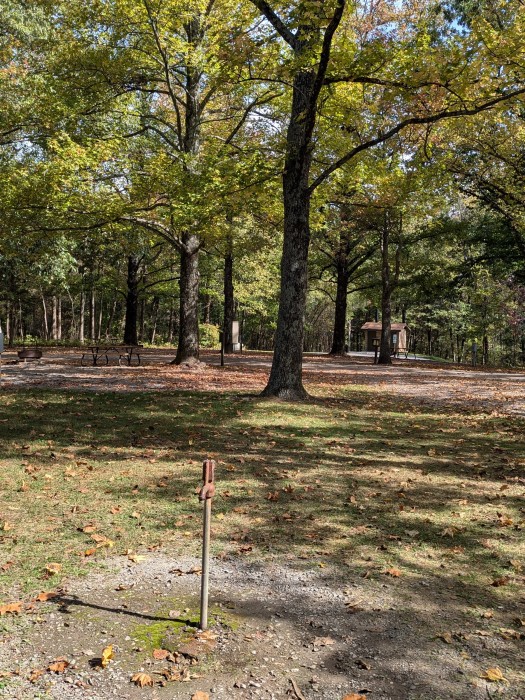 Ferne Clyffe State Park