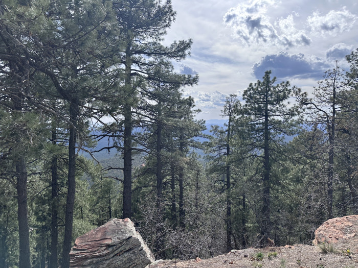 Mogollon Rim Campground