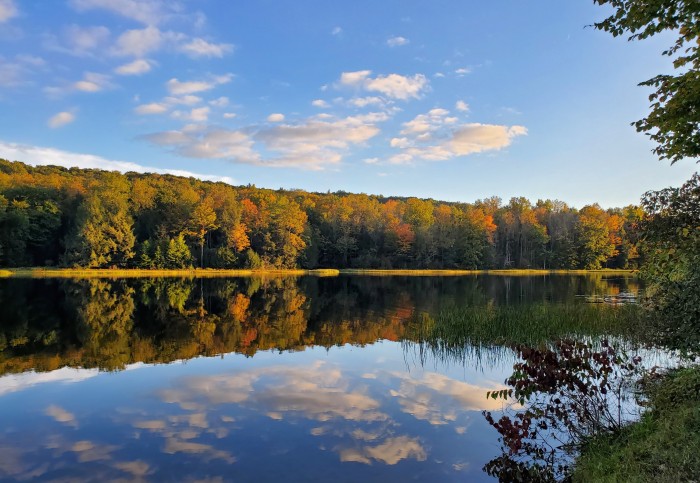 Prince Gallitzin State Park