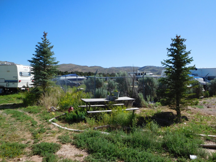 Ashley National Forest,  Mustang Ridge Campground