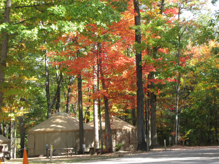Higgins Lake / Roscommon KOA