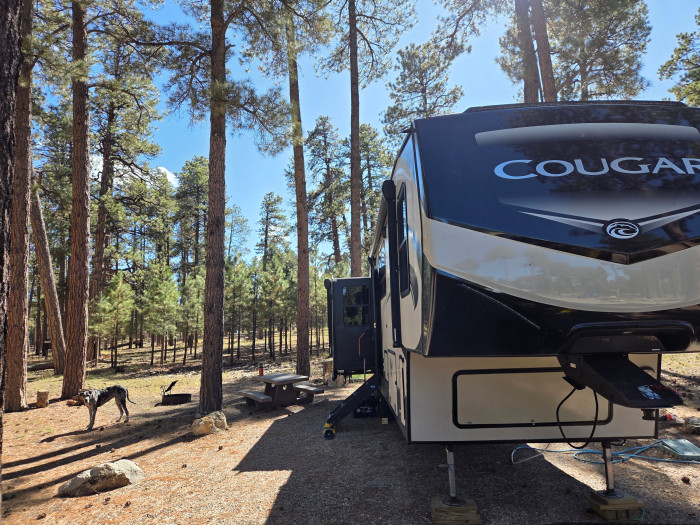 Jacob Lake Campground