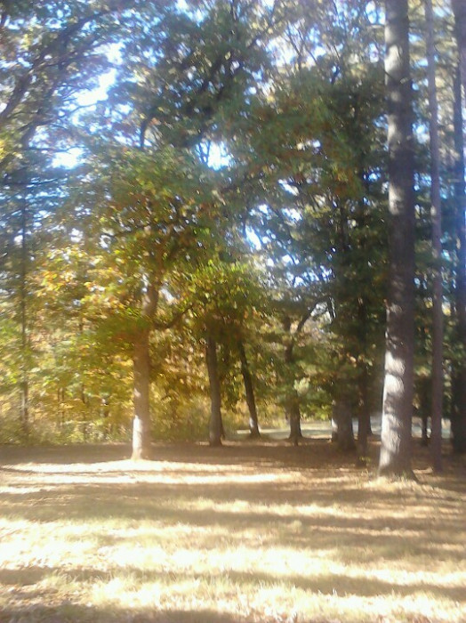 Emerald Acres Campground