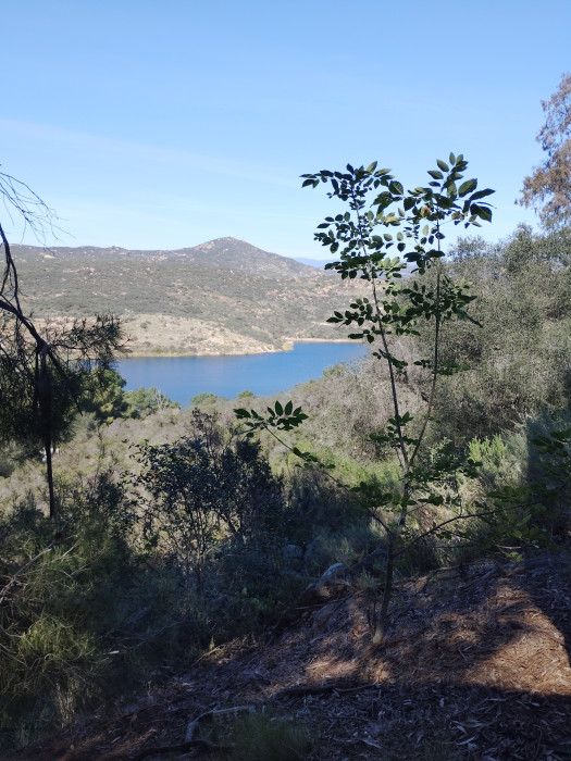 Dixon Lake Campground