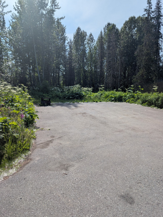 East Fork Chulitna Wayside