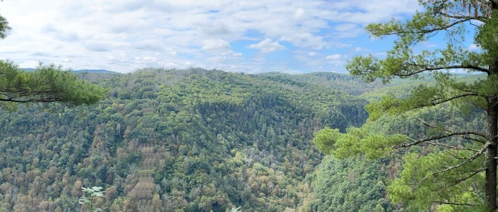 Leonard Harrison State Park Campground