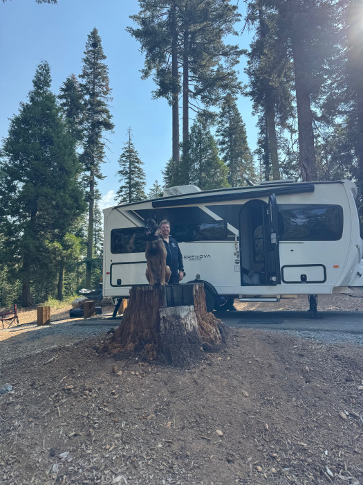 Crane Flat Campground