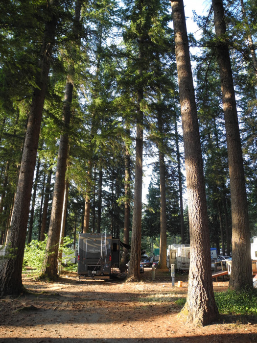 Timberline RV Park