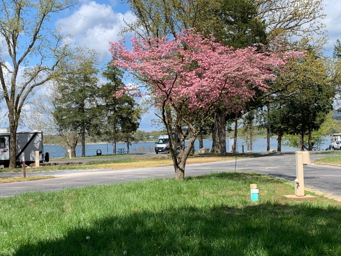 Old Highway 86 Campground