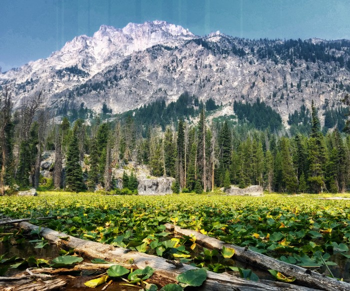 Sawtooth National Forest, Outlet Campground