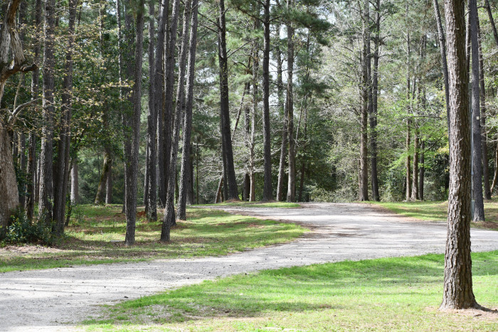 Made in the Shade RV Park