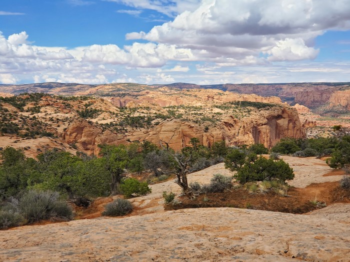 Navajo National Monument