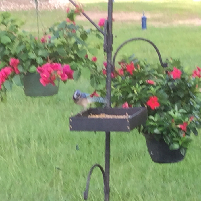 Paradise RV Park
