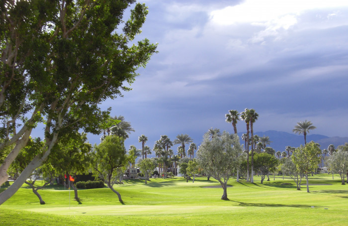 Outdoor Resort Palm Springs