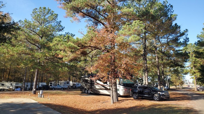 Swinging Bridge RV Park