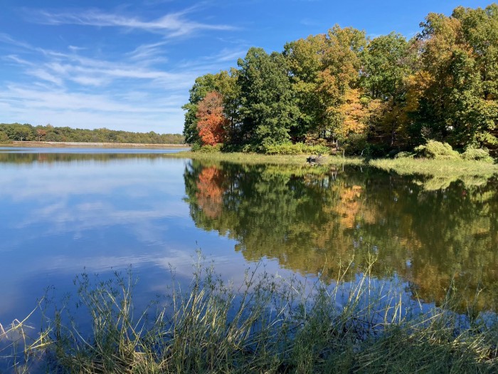 Little Grassy Lake Campground and Marina