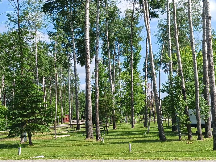 Timber Mill Community Park