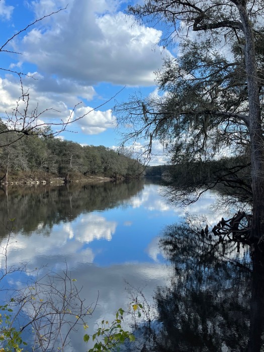 Suwannee River Rendezvous Resort & Campground