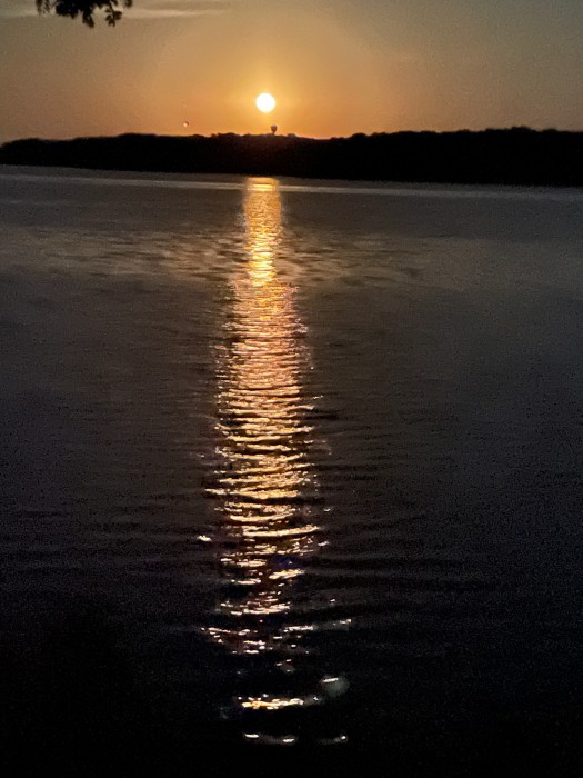 Hawthorn Bluff