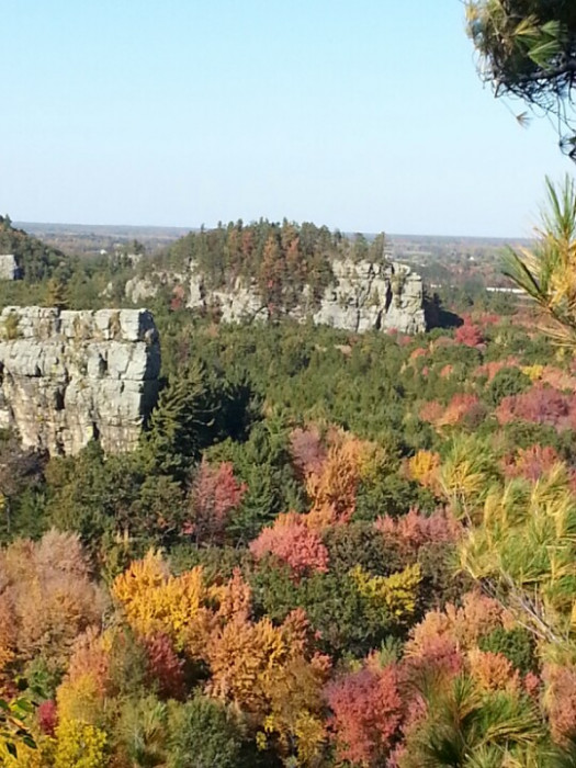 Mill Bluff campground