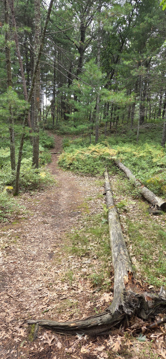 Hill & Hollow Campground & RV Park