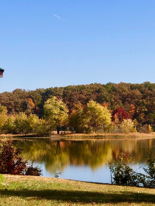 Deam Lake State Recreation Area