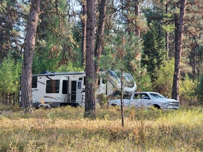 Bird Track Springs Campground