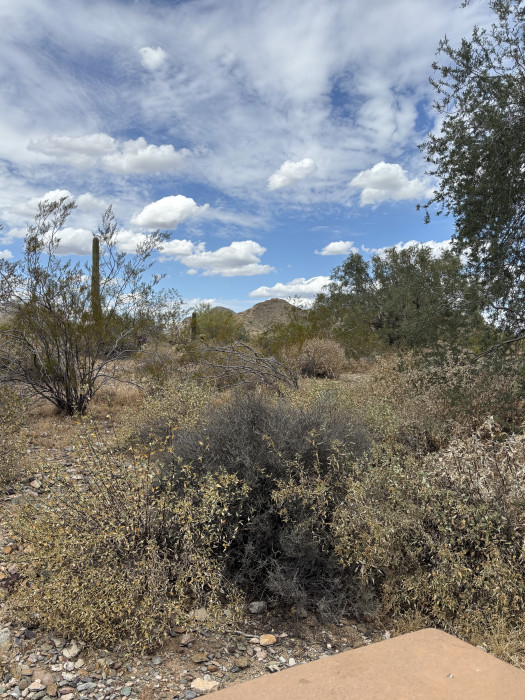 Cave Creek Regional Park