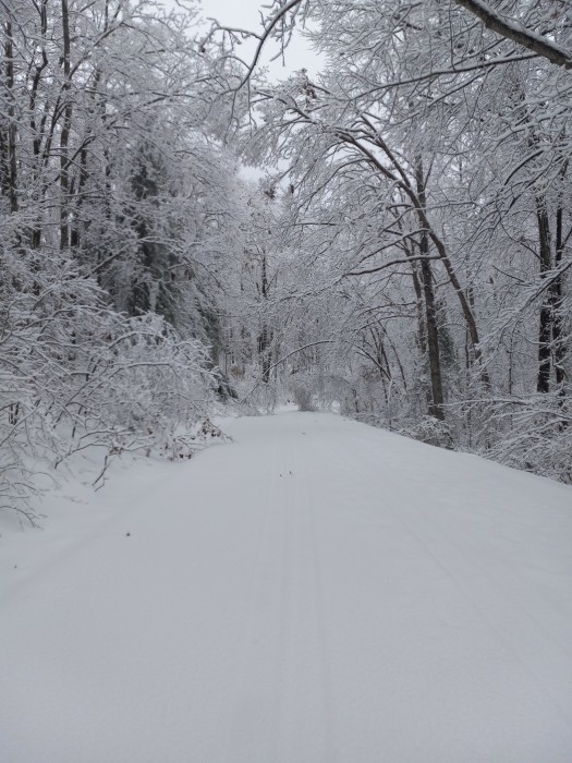 Koomer Ridge Campground