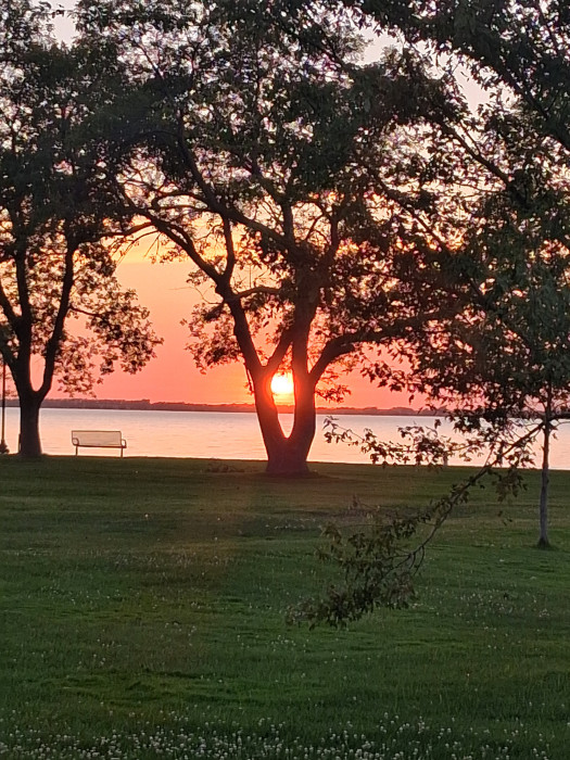 Stokes-Thomas City Park & Campground