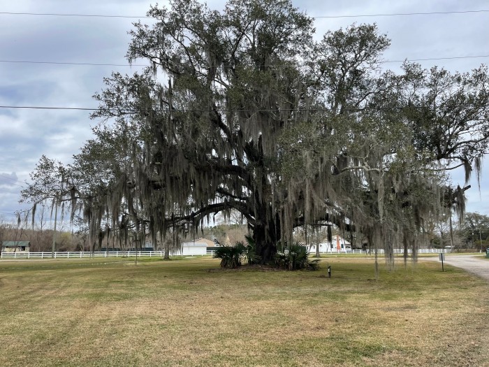 Bayou Black RV Park