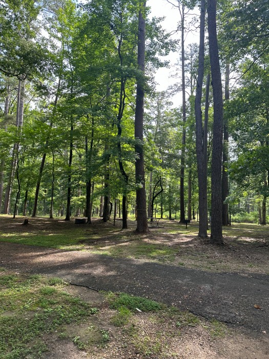 Chemin-A-Haut State Park