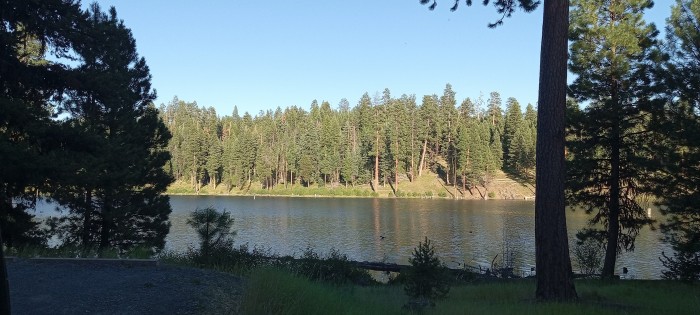 Magone Lake Forest Camp