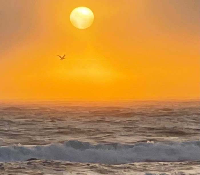 Oceano Dunes State Vehicular Recreational Area