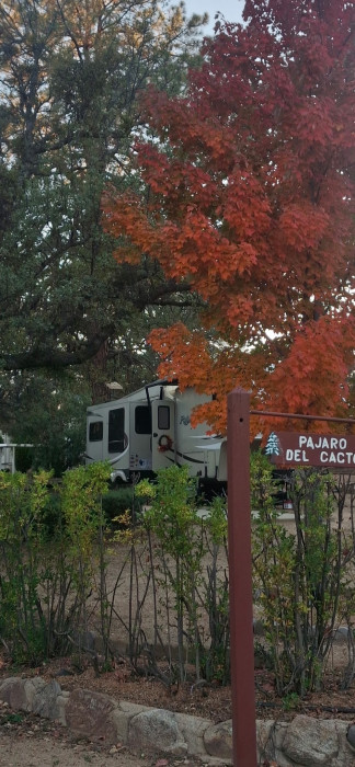 Pine Lawn Ranch