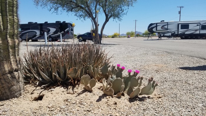 Quail Run RV Park