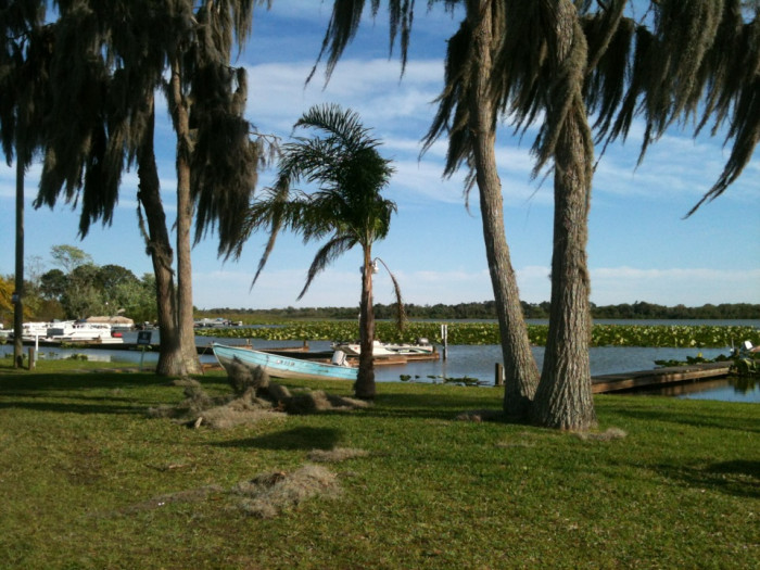 Lake Bonnet Village