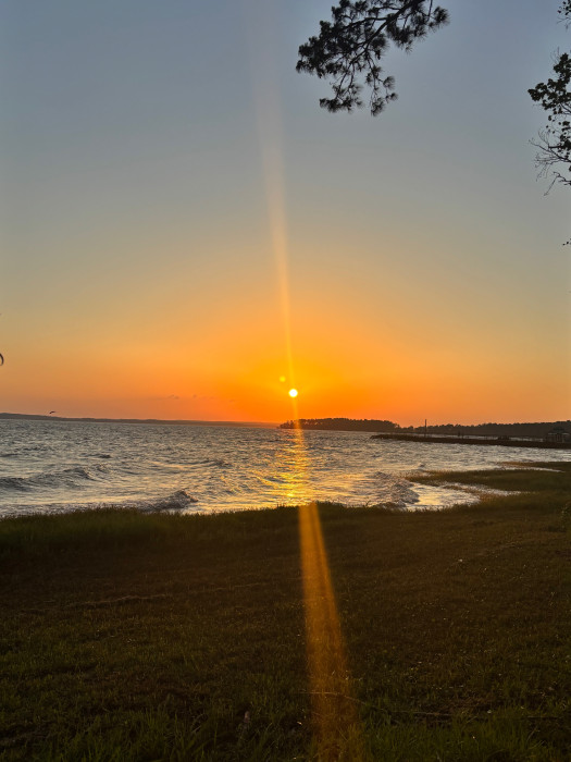 Cypress Bend Park