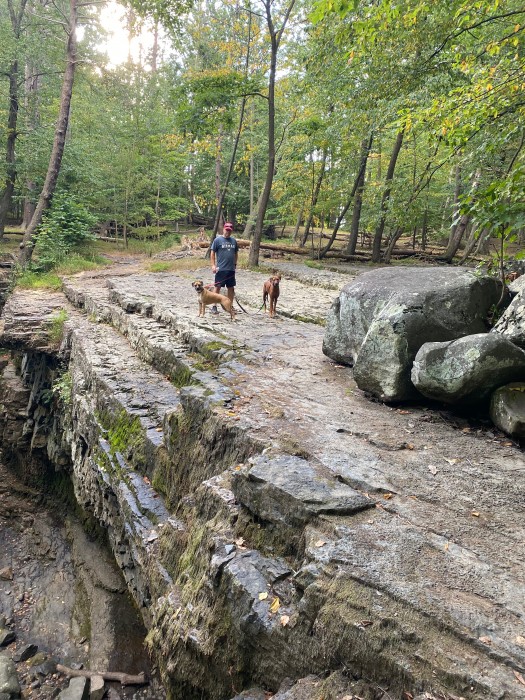 Ringing Rocks Family Campground