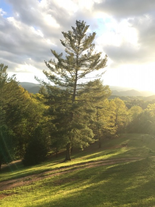 Cardinal Ridge Farm RV