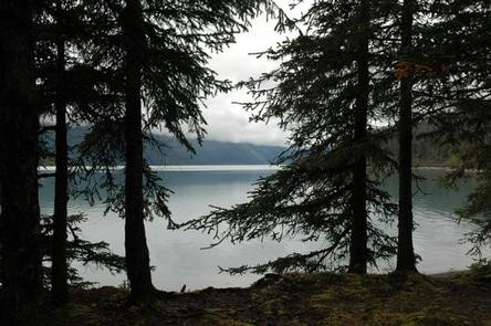 Chugach National Forest, Trail River Campground
