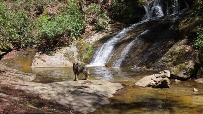 Mortimer Campground