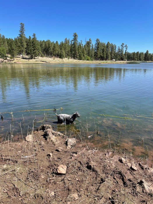 White Horse Lake Campground