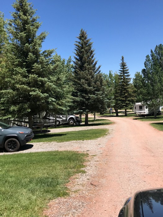 Pine Forest RV Park