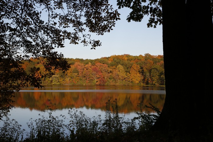 Lake Murphysboro State Park