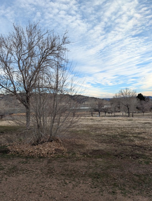 Brite Lake