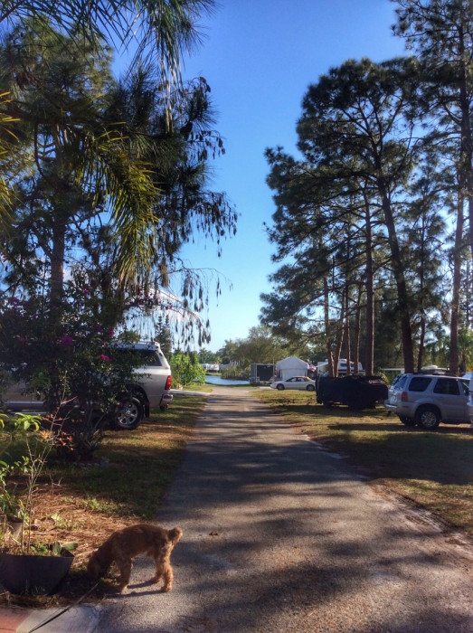 Gulf Coast Camping Resort