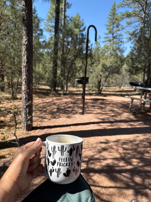 Sharp Creek Campground