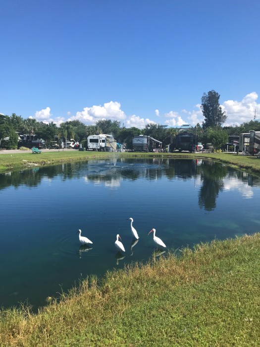 Buttonwood Inlet RV Resort